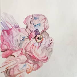 Экзотическая рыбка розовая