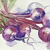 Акварель Свекла