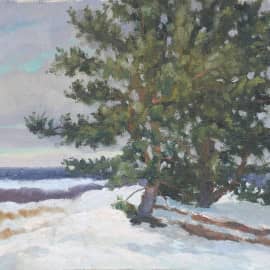 этюд с соснами