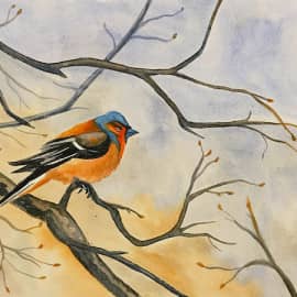 Птица на ветке