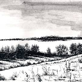 Среди зимы 29  Among the Winter 29