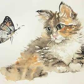 Кошка с бабочкой