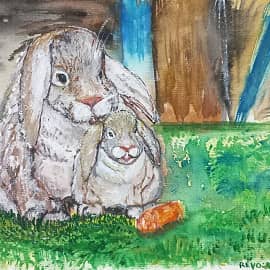 Кролики. Порода: карликовый баран.