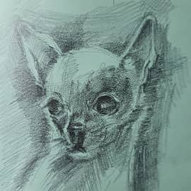 Рисунок маленькой собачки