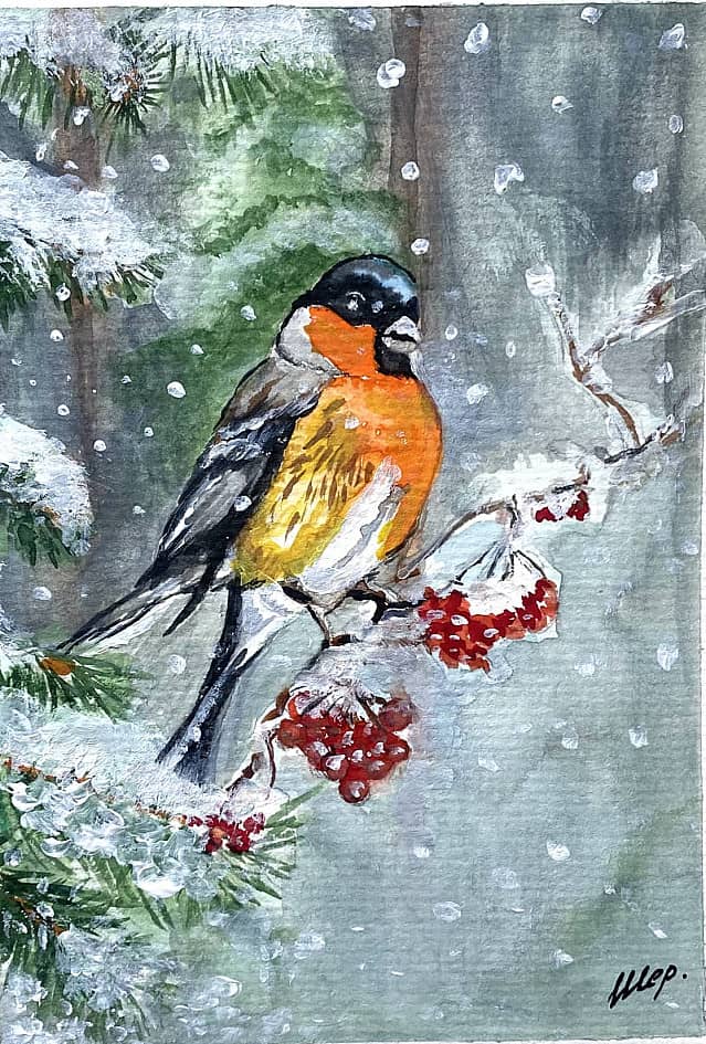 За окошком снегири