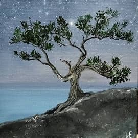 Тайны ночного неба