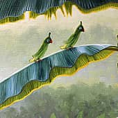 Лиза Рэй - Тропический сад 1 (3), художник Лиза Рэй