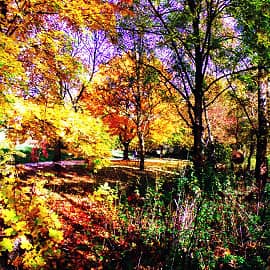 Солнечные краски