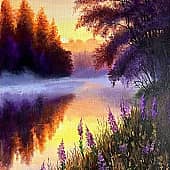 Иван-чай вечерний