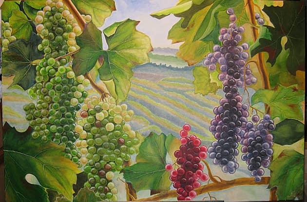 Виноградная долина