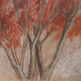 Пленер.Турция