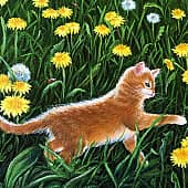 Рай для Одуванчиков (фрагмент)