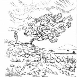 Ирландский пейзаж