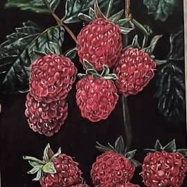 Малина акрилом