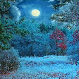 Луна выглянула.