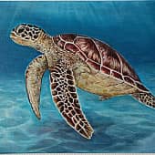 Навстречу к морю