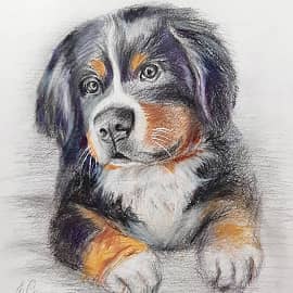 Портрет по фото заказчика