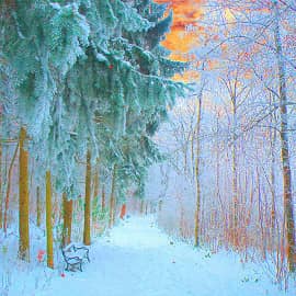 Снежные аллеи.