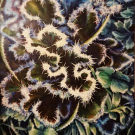 Замороженный ажур