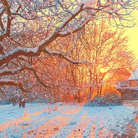 Утро солнечного дня