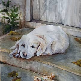 Уехали, а меня забыли