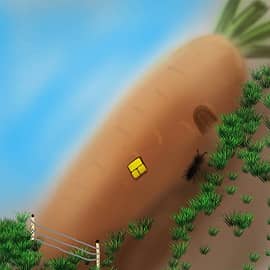 Жизнь насекомого