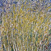 Картина Колоски любовь и вера Екатерина Лебедева художник