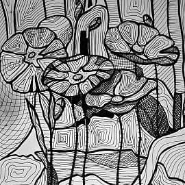 И снова маки