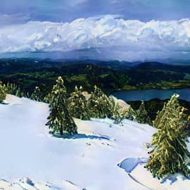 Маленькой ёлочке холодно.