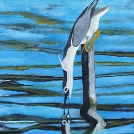 Мастер эквилибра