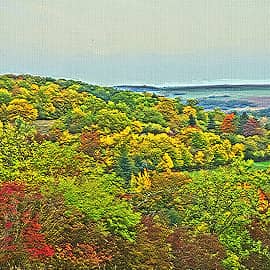 Осенний лес