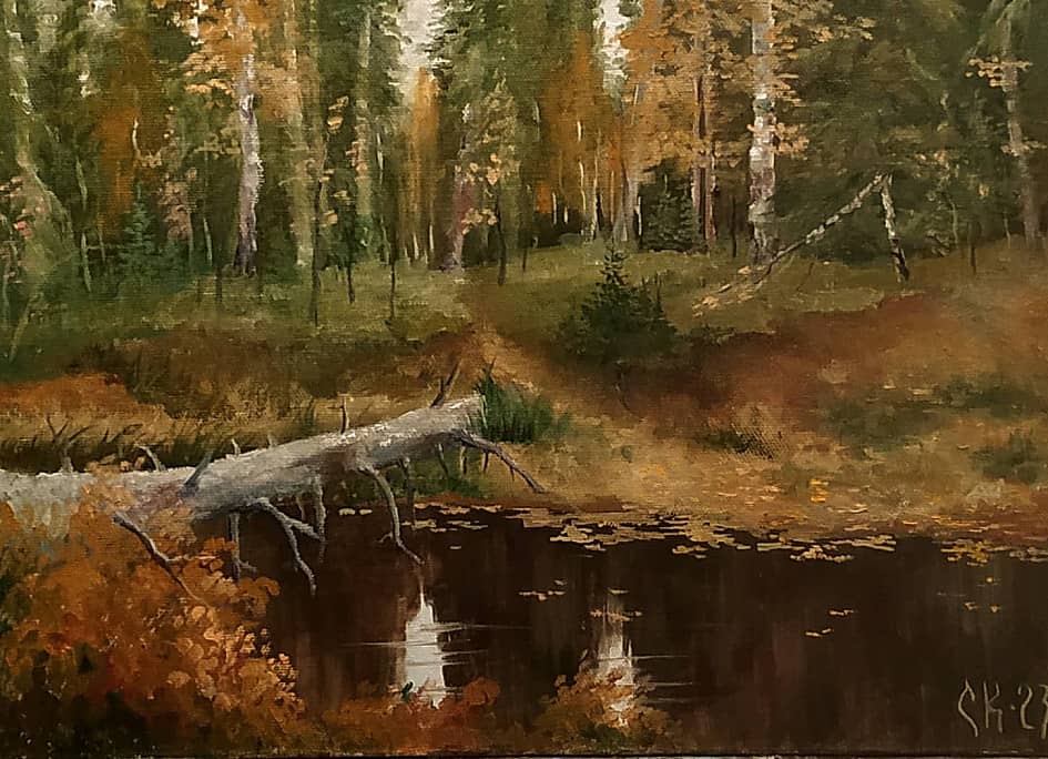 Осень на таёжной речке Киа-ю