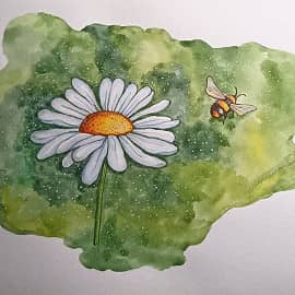 Ромашка и пчелка