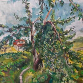 Яблоня согнула ветви