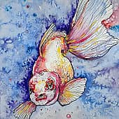 Любопытная рыбка