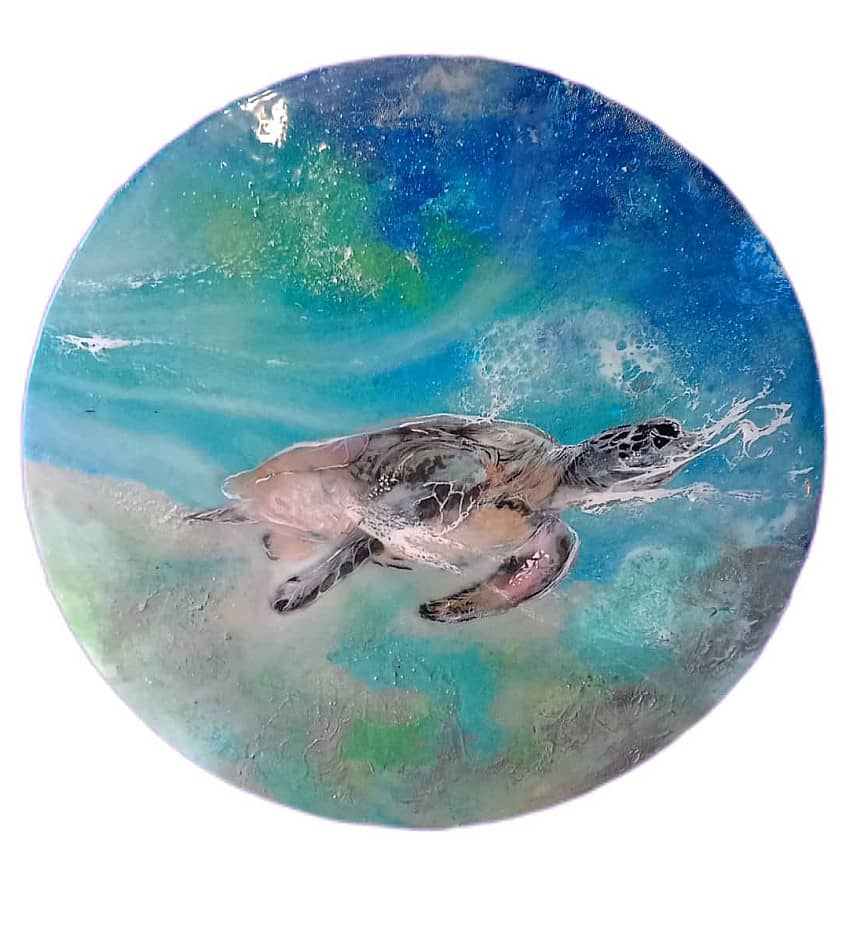 Черепашка по имени Наташка