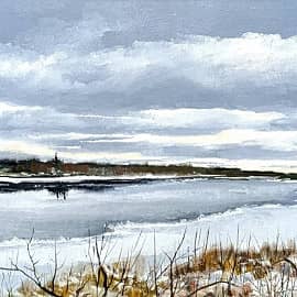 Предзимье. Вычегда.