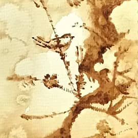 Кофейная птичка