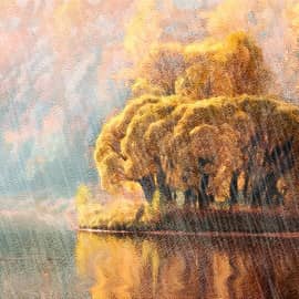 Дождливый день