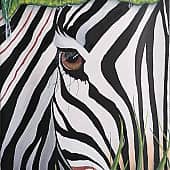 Взгляд зебры
