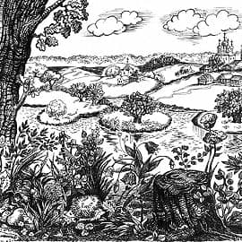 Деревенский пейзаж