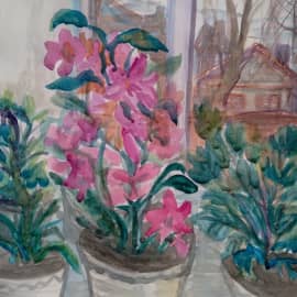 Вид из окна