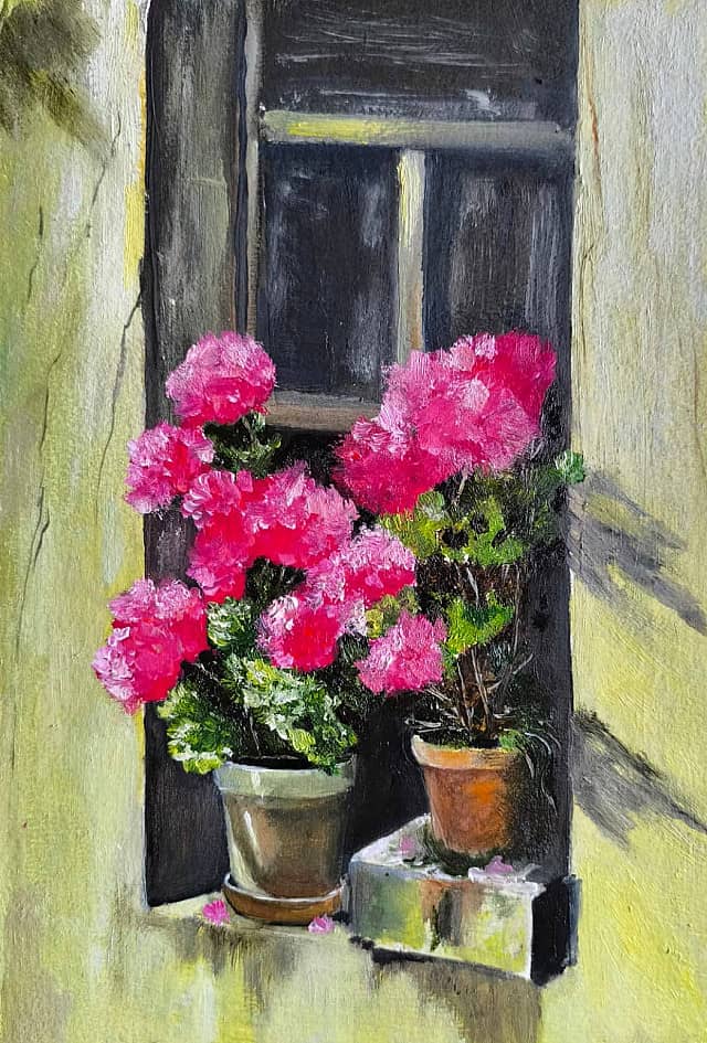 Герань в лучах солнца