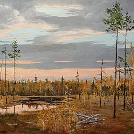 Осень на болотах Кузьнюр