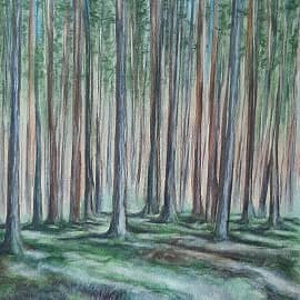 Сосновый бор