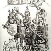 Конный спорт на селе.