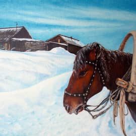 Портрет лошади  Horse Portrait