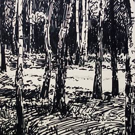 "Чёрно-белый лес"