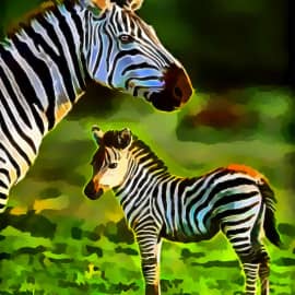 Животные 013