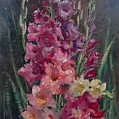 Гладиолусы